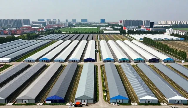 家居用品性能稳定性与反馈机制的优化实践